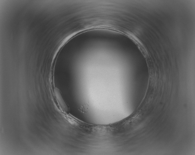 X0000051920956200507011556