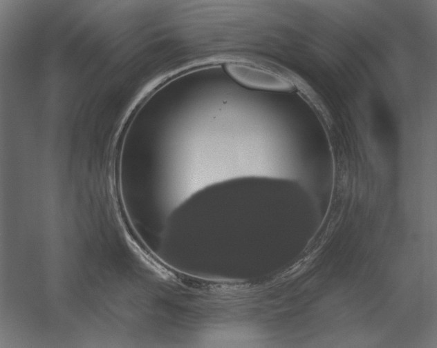 X0000051920958200507011556