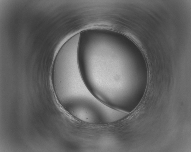 X0000051920960200507011556