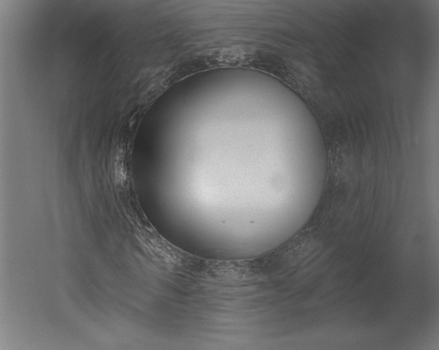 X0000051920962200507011555