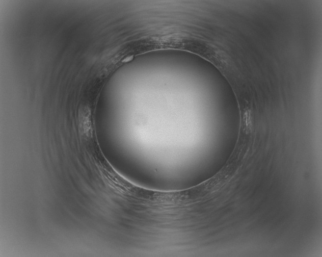 X0000051920963200507011555