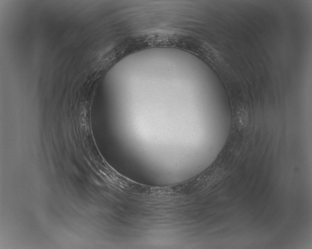 X0000051920964200507011555