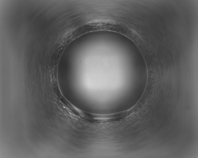X0000051920965200507011555