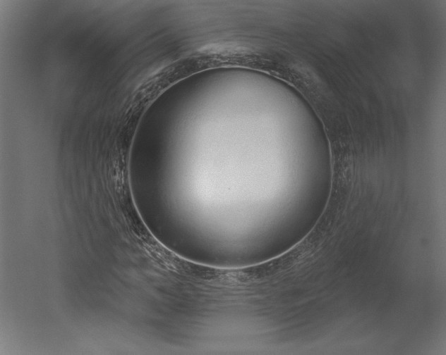 X0000051920966200507011555