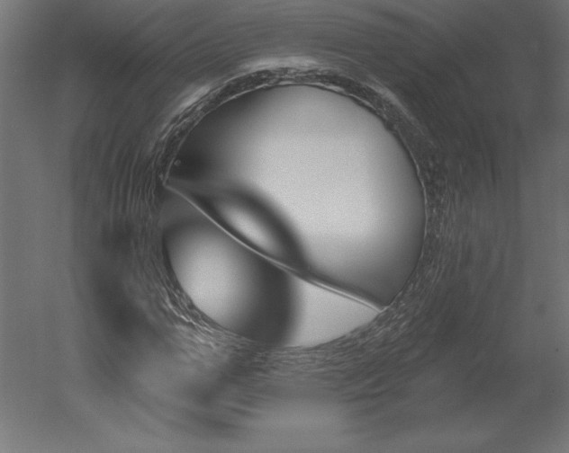 X0000051920967200507011555