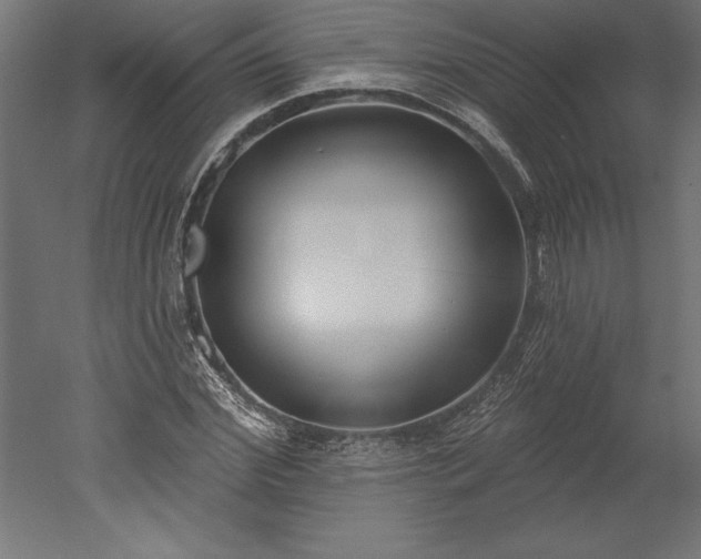 X0000051920972200507011555