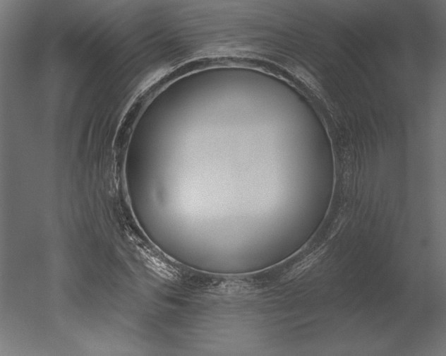 X0000051920974200507011555