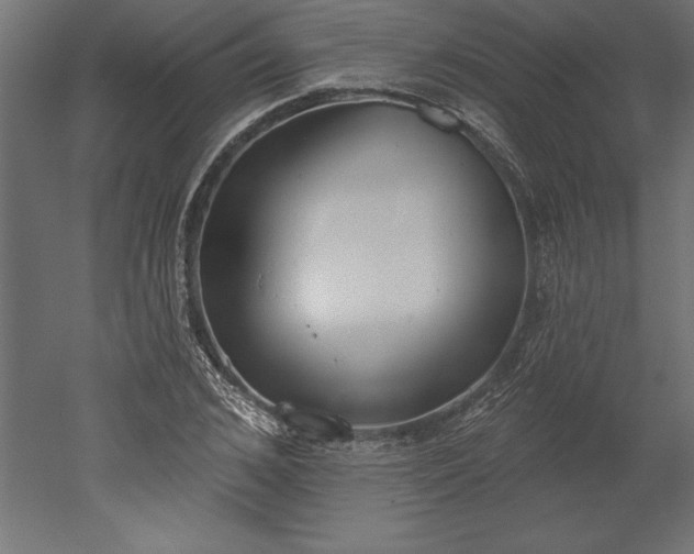 X0000051920976200507011555