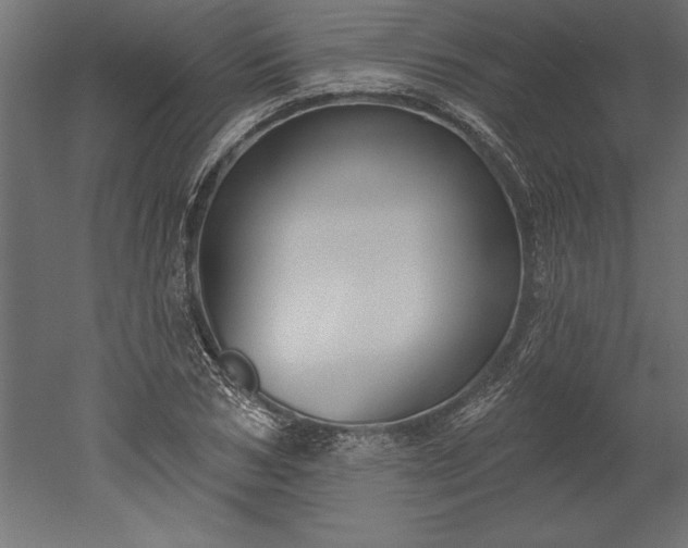 X0000051920978200507011555