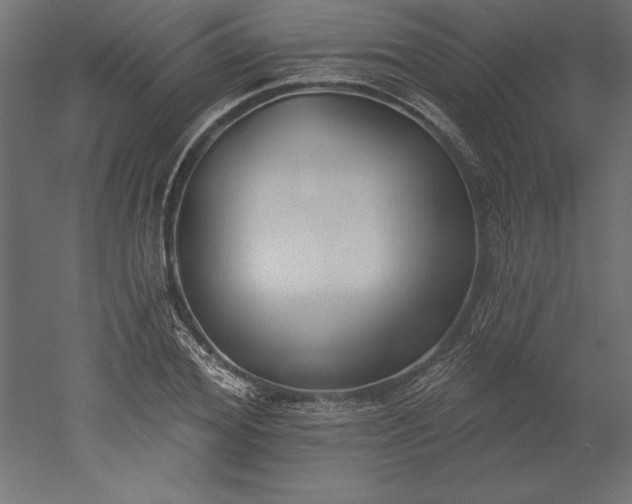 X0000051920980200507011555