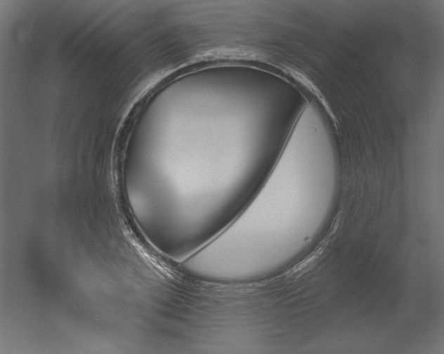 X0000051920981200507011555