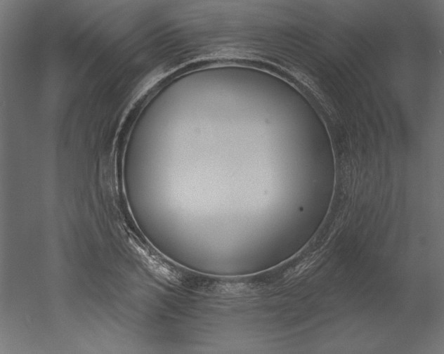 X0000051920982200507011555