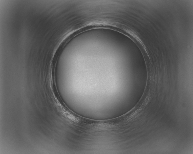 X0000051920984200507011555