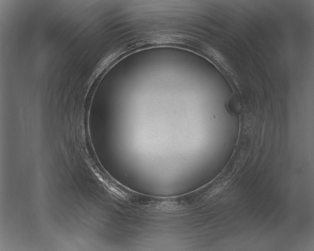 X0000051920986200507011555