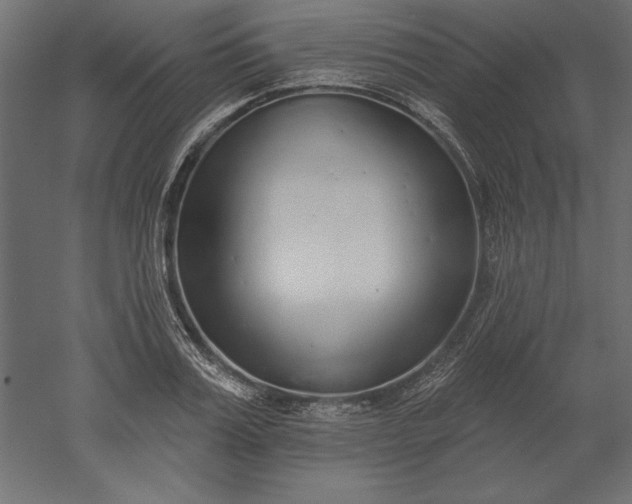 X0000051920987200507011555