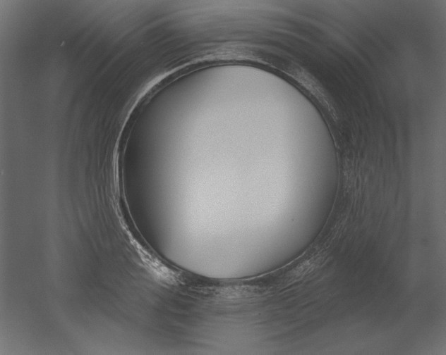 X0000051920988200507011555