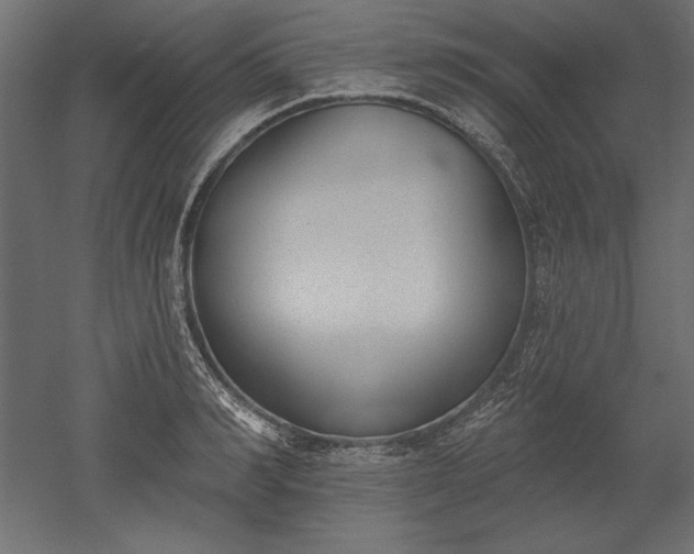 X0000051920990200507011555