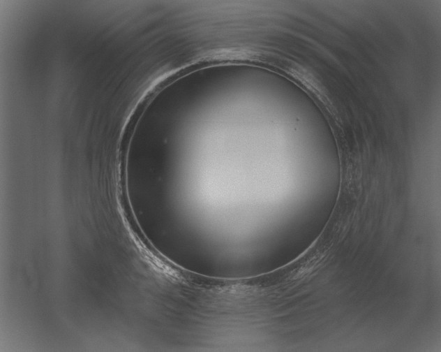 X0000051920992200507011555