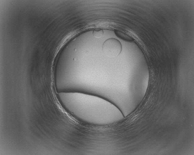 X0000051920994200507011555