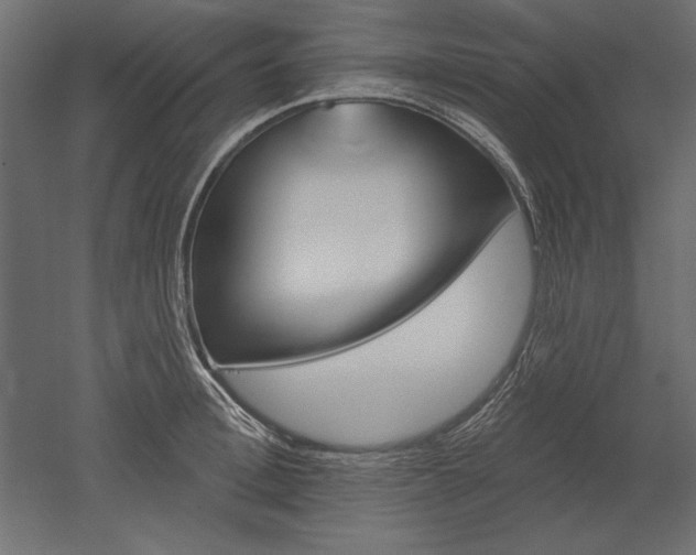 X0000051920996200507011555
