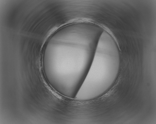X0000051920997200507011555