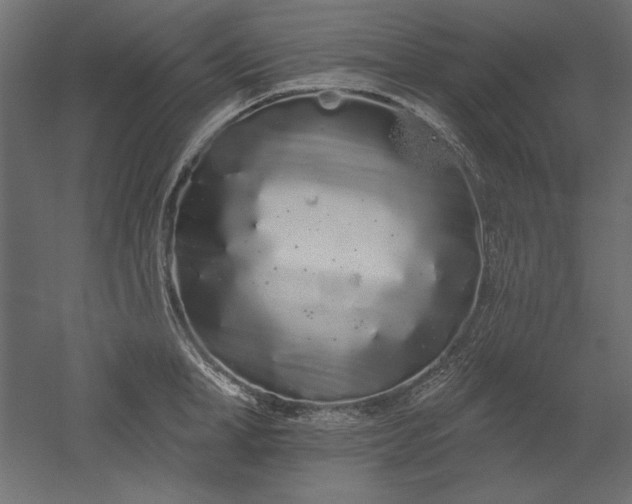 X0000051920998200507011555