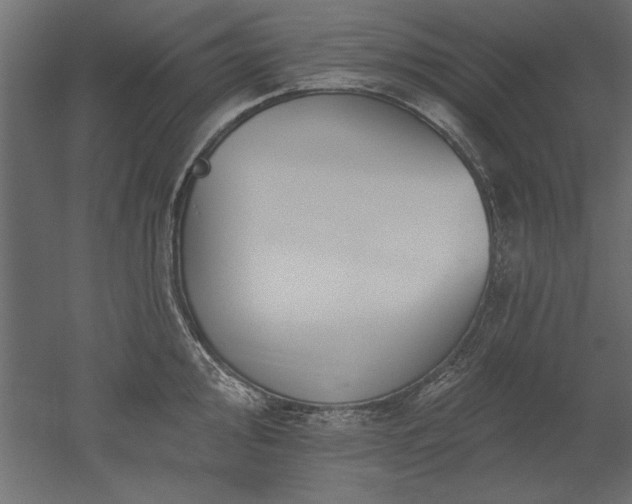 X0000051921000200507011555