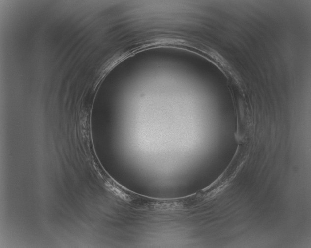 X0000051921001200507011555