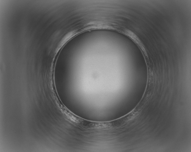 X0000051921002200507011555