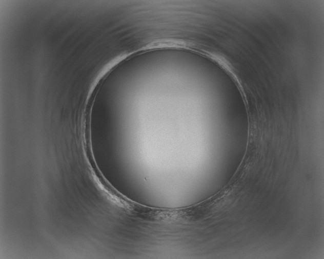 X0000051921003200507011555