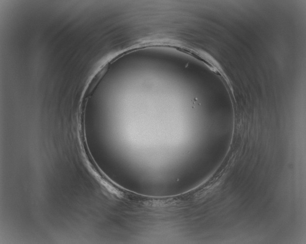 X0000051921005200507011555