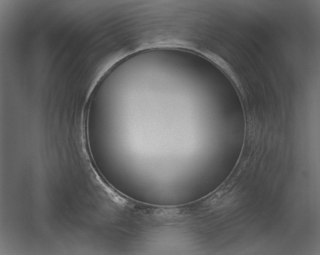 X0000051921006200507011555