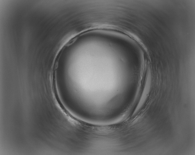X0000051921007200507011555