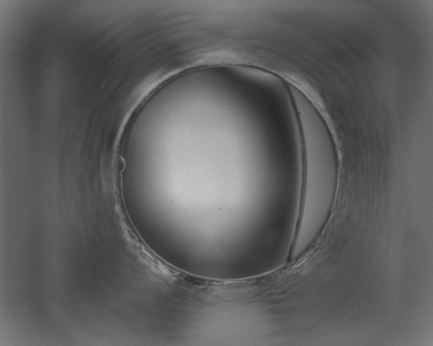 X0000051921008200507011555