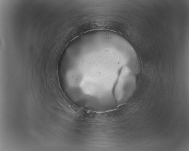 X0000051921009200507011554