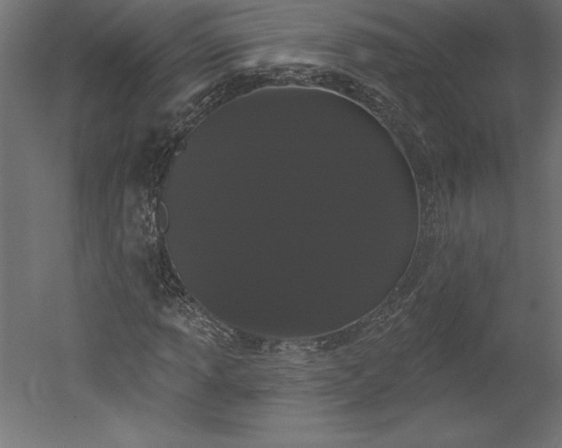 X0000051921013200507011554