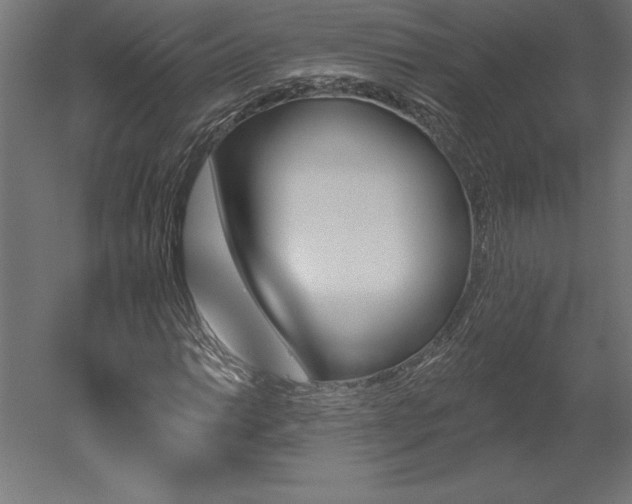 X0000051921014200507011554