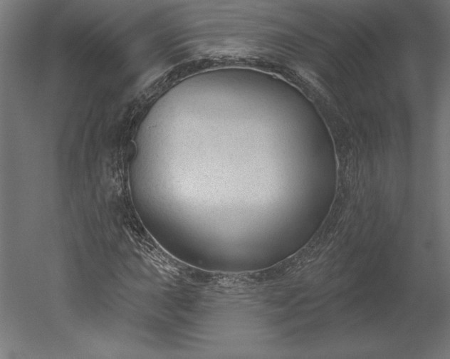 X0000051921015200507011554