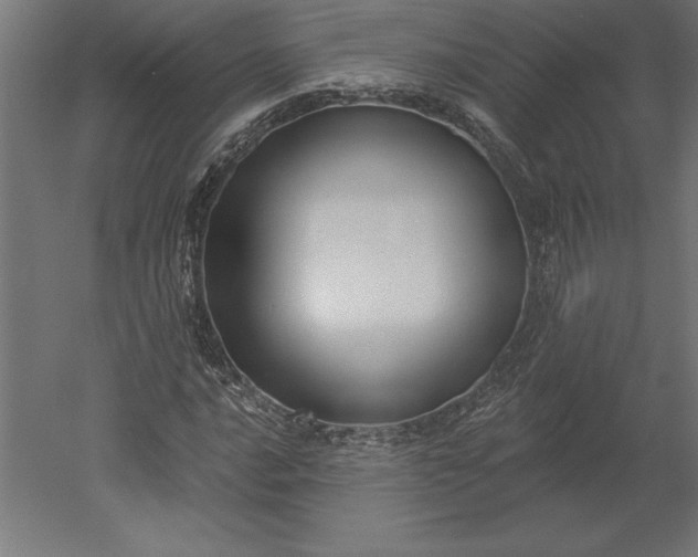 X0000051921016200507011554