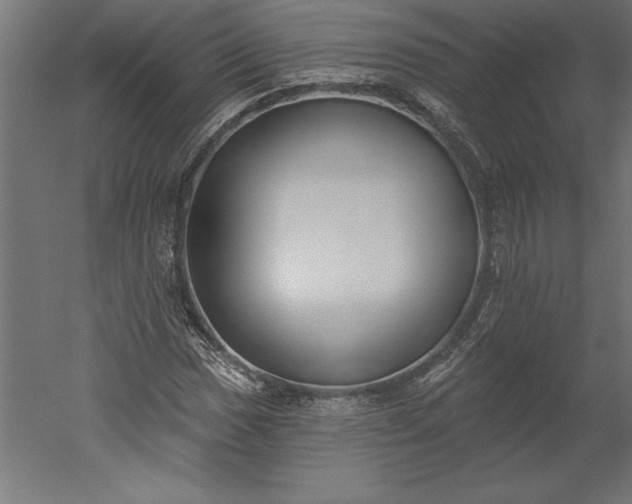 X0000051921017200507011554