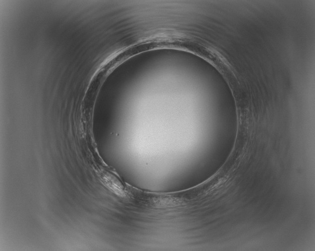 X0000051921018200507011554