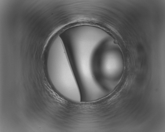 X0000051921021200507011554