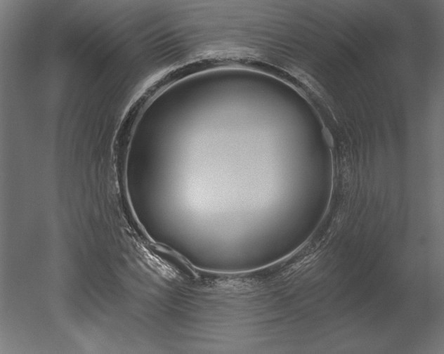 X0000051921022200507011554