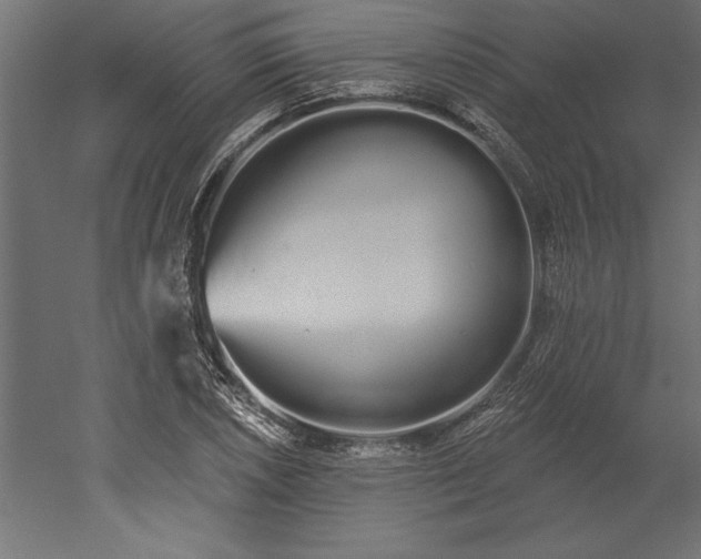 X0000051921026200507011554