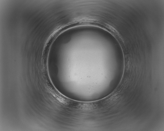 X0000051921027200507011554