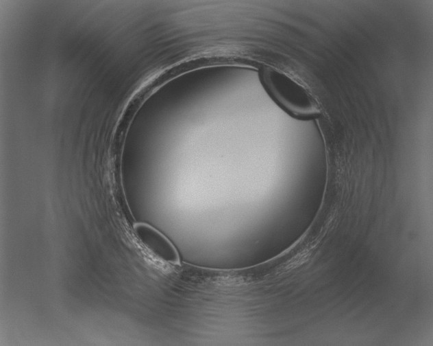 X0000051921029200507011554