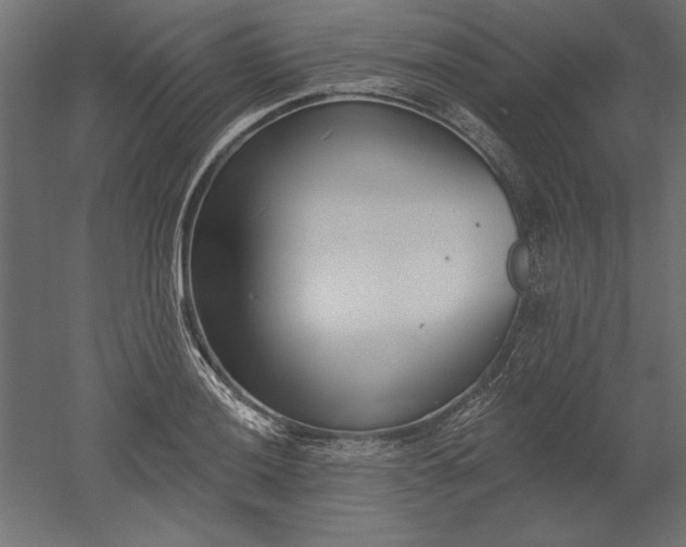 X0000051921036200507011554
