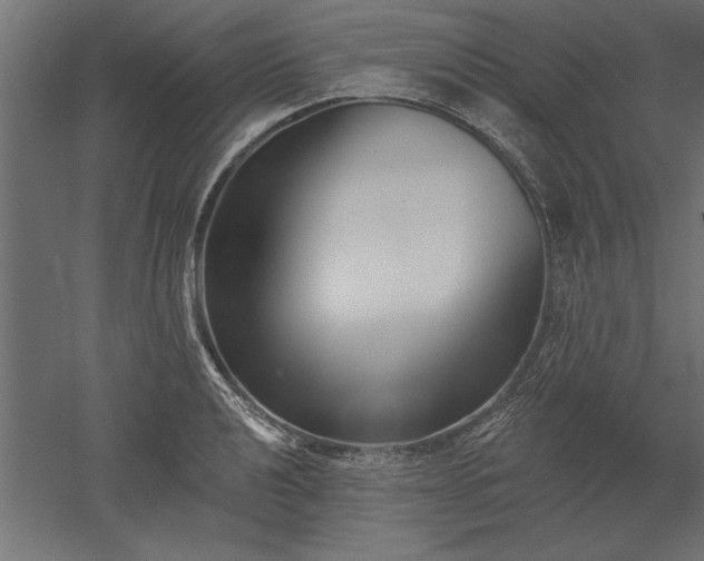 X0000051921040200507011554