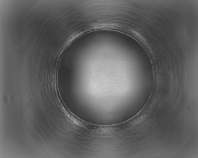 X0000051921041200507011554