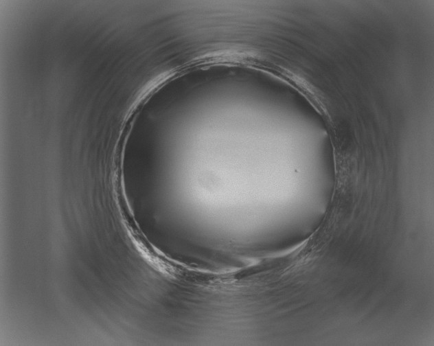 X0000051921042200507011554